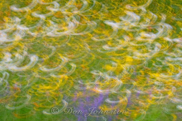 A patch of summer flowers with camera movement during the exposure