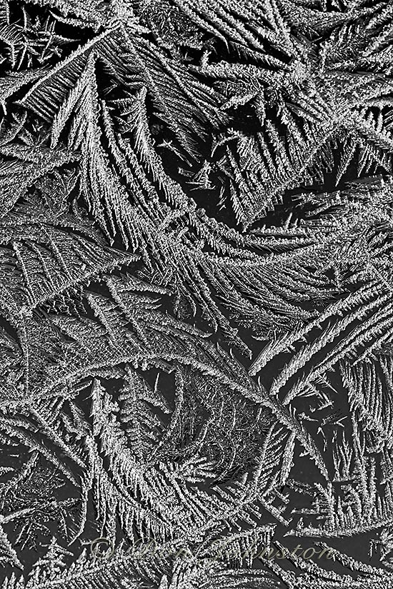 Frost patterns on a windowpane