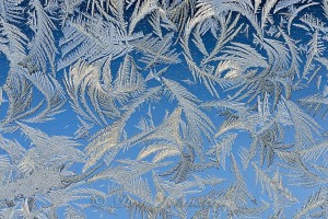 Garage window frost feathers. Blue shadowed snow background.