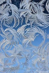 Garage window frost feathers. Sometimes a 2-3 frame focus stack is needed if sharpness varies from top to bottom.