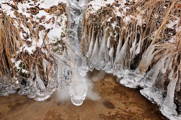 Ice coated grasses around a small waterfall